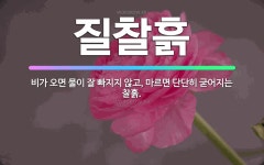 🌟질찰흙: 비가 오면 물이 잘 빠지지 않고, 마르면 단단히 굳어지는 찰흙. - 표준국어대사전