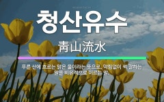 🌟청산유수: 푸른 산에 흐르는 맑은 물이라는 뜻으로, 막힘없이 썩 잘하는 말을 비유적으로 이르는 말. - 표준국어대사전