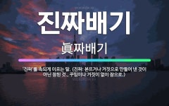 🌟진짜배기: ‘진짜’를 속되게 이르는 말. (진짜: 본뜨거나 거짓으로 만들어 낸 것이 아닌 참된 것., 꾸... - 표준국어대사전