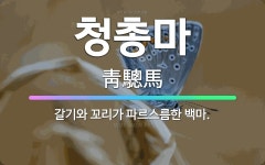 🌟청총마: 갈기와 꼬리가 파르스름한 백마. - 표준국어대사전