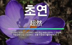 🌟초연: ‘초연하다’의 어근. (초연하다: 어떤 현실 속에서 벗어나 그 현실에 아랑곳하지 않고 의젓하다.,... - 표준국어대사전