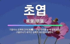 🌟초엽: 기둥이나 초벽에 단여(短欐)ㆍ선반 따위를 달 때 밑에 받친, 구름무늬가 새겨진 길쭉한 세모꼴의 널빤지. - 표준국어대사전