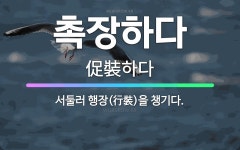 🌟촉장하다: 서둘러 행장(行裝)을 챙기다. - 표준국어대사전
