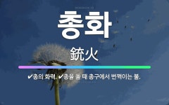 🌟총화: 총을 쏠 때 총구에서 번쩍이는 불., 총의 화력. - 표준국어대사전