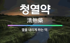 🌟청열약: 열을 내리게 하는 약. - 표준국어대사전