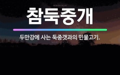 🌟참둑중개: 두만강에 사는 둑중갯과의 민물고기. - 표준국어대사전