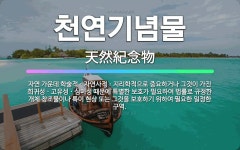 🌟천연기념물: 자연 가운데 학술적ㆍ자연사적ㆍ지리학적으로 중요하거나 그것이 가진 희귀성ㆍ고유성ㆍ심미성 때문에... - 표준국어대사전