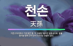 🌟천손: 거문고자리에서 가장 밝은 별. 약 26광년 떨어진 일등성으로, 칠월 칠석날 밤에 견우성과 만난다는... - 표준국어대사전