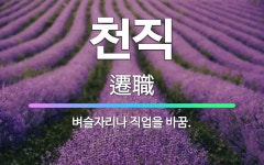 🌟천직: 벼슬자리나 직업을 바꿈. - 표준국어대사전