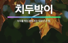 🌟치두박이: 치두를 박는 데에 쓰는 네모난 큰 못. - 표준국어대사전