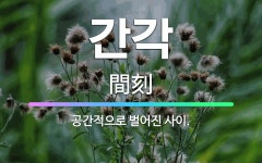 🌟간각: 공간적으로 벌어진 사이. - 표준국어대사전