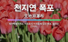 🌟천지연 폭포: 제주특별자치도 서귀포시 서귀동에 있는 폭포. 높이는 22미터. - 표준국어대사전