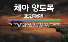 🌟체아 양도목: 조선 시대에, 체아직을 받은 사람의 녹봉을 해마다 도목정사를 하는 음력 유월과 섣달에 내어... - 표준국어대사전