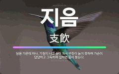 🌟지음: 담음 가운데 하나. 기침이 나고 숨이 차서 반듯이 눕지 못하며 가슴이 답답하고 그득하며 심하면 몸... - 표준국어대사전