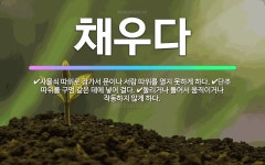 🌟채우다: 단추 따위를 구멍 같은 데에 넣어 걸다., 돌리거나 틀어서 움직이거나 작동하지 않게 하다., 자... - 표준국어대사전