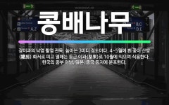 🌟콩배나무: 장미과의 낙엽 활엽 관목. 높이는 3미터 정도이다. 4~5월에 흰 꽃이 산방(繖房) 화서로 피... - 표준국어대사전