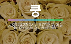 🌟쿵: 큰북이나 장구 따위가 울리는 매우 깊은 소리. ‘꿍’보다 거센 느낌을 준다. (꿍: 큰북이나 장구 ... - 표준국어대사전