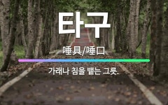 🌟타구: 가래나 침을 뱉는 그릇. - 표준국어대사전