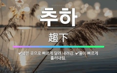 🌟추하: 낮은 곳으로 빠르게 달려 내려감., 물이 빠르게 흘러내림. - 표준국어대사전