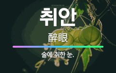 🌟취안: 술에 취한 눈. - 표준국어대사전