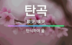🌟탄곡: 탄식하며 욺. - 표준국어대사전