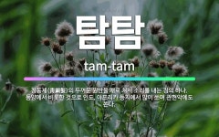 🌟탐탐: 청동제(靑銅製)의 두꺼운 원반을 채로 쳐서 소리를 내는 징의 하나. 동양에서 비롯한 것으로 인도,... - 표준국어대사전