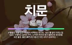 🌟치문: 물들인 옷을 입은 사람들의 세계라는 뜻으로, ‘승도’를 달리 이르는 말. (승도: 수행하는 승려의... - 표준국어대사전