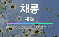 🌟채롱: 껍질을 벗긴 싸릿개비나 버들가지 따위의 오리를 결어서 함(函) 모양으로 만든 채그릇. 안팎에 종이... - 표준국어대사전