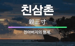 🌟친삼촌: 친아버지의 형제. - 표준국어대사전