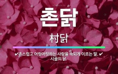 🌟촌닭: 촌스럽고 어릿어릿하는 사람을 속되게 이르는 말., 시골의 닭. - 표준국어대사전