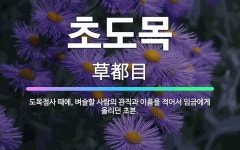 🌟초도목: 도목정사 때에, 벼슬할 사람의 관직과 이름을 적어서 임금에게 올리던 초본. - 표준국어대사전