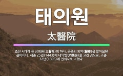 🌟태의원: 조선 시대에 둔 삼의원(三醫院)의 하나. 궁중의 의약(醫藥)을 맡아보던 관아이다. 세종 25년(... - 표준국어대사전