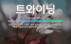 🌟트와이닝: 미국의 군인(1897~1982). 제이 차 세계 대전 때 유럽ㆍ남태평양 공군 전투 사령관으로서... - 표준국어대사전