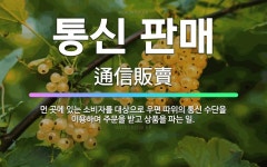 🌟통신 판매: 먼 곳에 있는 소비자를 대상으로 우편 따위의 통신 수단을 이용하여 주문을 받고 상품을 파는 일. - 표준국어대사전