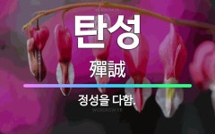 🌟탄성: 정성을 다함. - 표준국어대사전