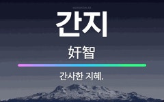 🌟간지: 간사한 지혜. - 표준국어대사전