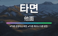 🌟타면: 다른 관점이나 측면., 다른 쪽이나 다른 방면. - 표준국어대사전