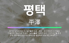 🌟평택: 경기도 남부에 있는 시. 농산물과 소금ㆍ새우ㆍ조기 따위의 수산물을 산출하며, 명승지로 무성산ㆍ농성... - 표준국어대사전