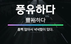 🌟풍유하다: 흠뻑 많아서 넉넉함이 있다. - 표준국어대사전