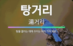 🌟탕거리: 탕을 끓이는 데에 쓰이는 여러 가지 재료. - 표준국어대사전