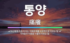 🌟통양: 자신에게 직접 미치는 이해관계를 비유적으로 이르는 말., 가려움과 아픔을 아울러 이르는 말. - 표준국어대사전