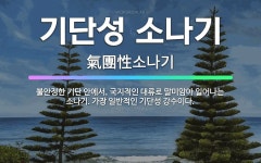 🌟기단성 소나기: 불안정한 기단 안에서, 국지적인 대류로 말미암아 일어나는 소나기. 가장 일반적인 기단성 ... - 표준국어대사전