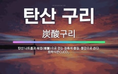 🌟탄산 구리: 탄산 나트륨과 복염(複鹽)으로 얻는 청록색 물질. 물감으로 쓴다. 화학식은CuCO<span ... - 표준국어대사전