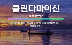 🌟클린다마이신: 항생제의 하나. 세균의 단백 합성을 억제하여 항균 작용을 한다. - 표준국어대사전