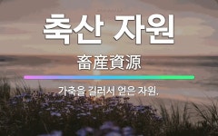 🌟축산 자원: 가축을 길러서 얻은 자원. - 표준국어대사전
