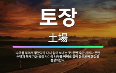 🌟토장: 나무를 부려서 쌓았다가 다시 실어 보내는 곳. 운반 수단 사이나 운반 수단과 목재 가공 공장 사이... - 표준국어대사전