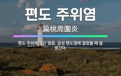 🌟편도 주위염: 편도 주위에 생긴 염증. 급성 편도염에 걸렸을 때 잘 생긴다. - 표준국어대사전