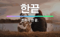 🌟한끝: 한쪽의 맨 끝. - 표준국어대사전