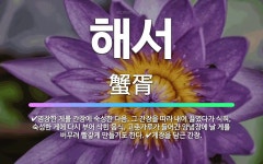 🌟해서: 게장을 담근 간장., 염장한 게를 간장에 숙성한 다음, 그 간장을 따라 내어 끓였다가 식혀, 숙성... - 표준국어대사전