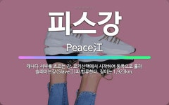 🌟피스강: 캐나다 서부를 흐르는 강. 로키산맥에서 시작하여 동쪽으로 흘러 슬레이브강(Slave江)과 합류한... - 표준국어대사전